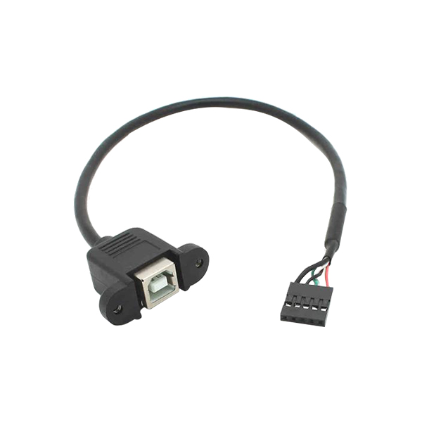 5 Pin Motherboard Header to USB2.0 B Cable with Screw.jpg