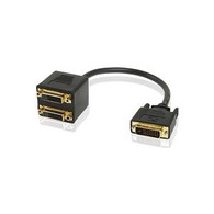 DVI 24+1 Male To Two DVI 24+5 Female Splitter Cable