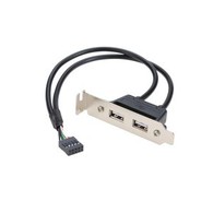 Panel Mount Dual USB 2.0 A Female To 9 Pin Header Cable